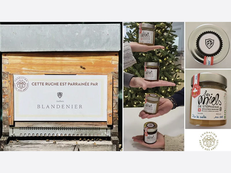 Lire la suite à propos de l’article Engagement : Fondation Arche des Abeilles