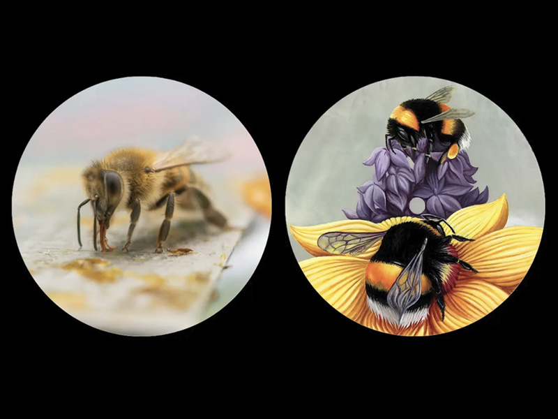 Lire la suite à propos de l’article Filleuls et métiers d’art